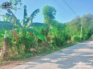 For sale land in Mueang Sing Buri, Sing Buri