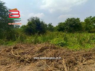 For sale land in Lat Lum Kaeo, Pathum Thani