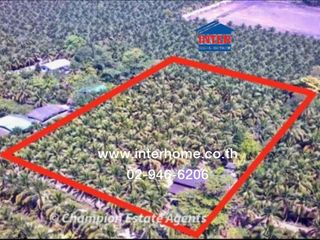 For sale land in Damnoen Saduak, Ratchaburi