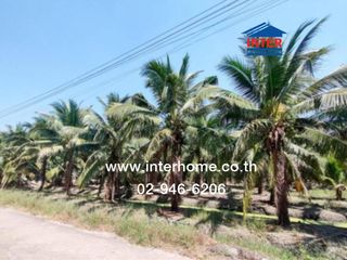For sale land in Damnoen Saduak, Ratchaburi