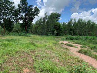 For sale land in Nong Song Hong, Khon Kaen