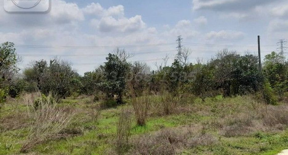 For sale land in Nong Yai, Chonburi