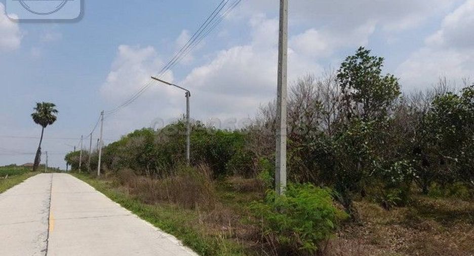 For sale land in Nong Yai, Chonburi
