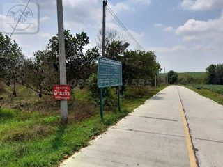 For sale land in Nong Yai, Chonburi