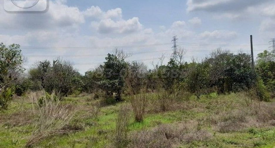 For sale land in Nong Yai, Chonburi