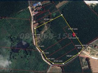 For sale land in Nong Yai, Chonburi
