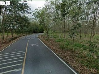 For sale land in Nong Yai, Chonburi