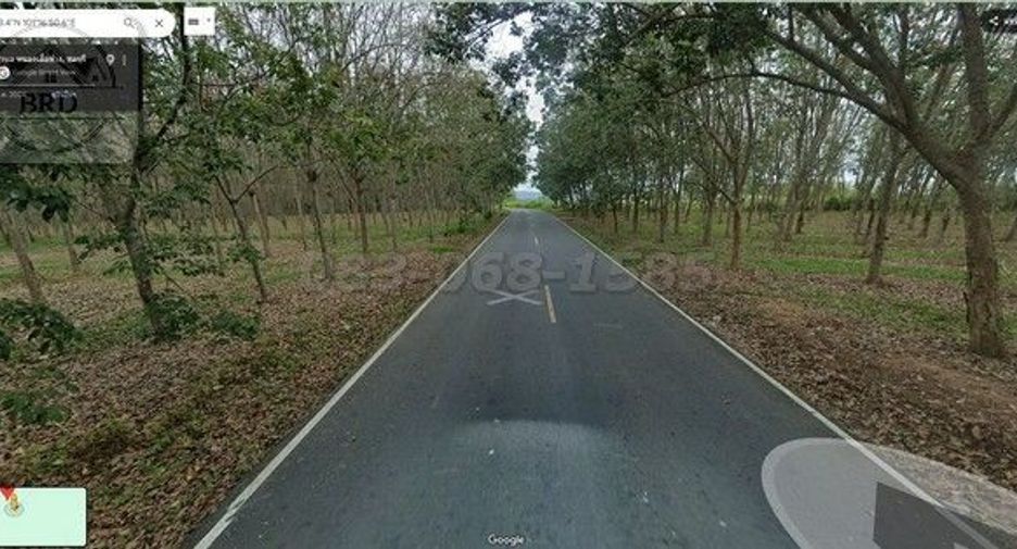 For sale land in Nong Yai, Chonburi