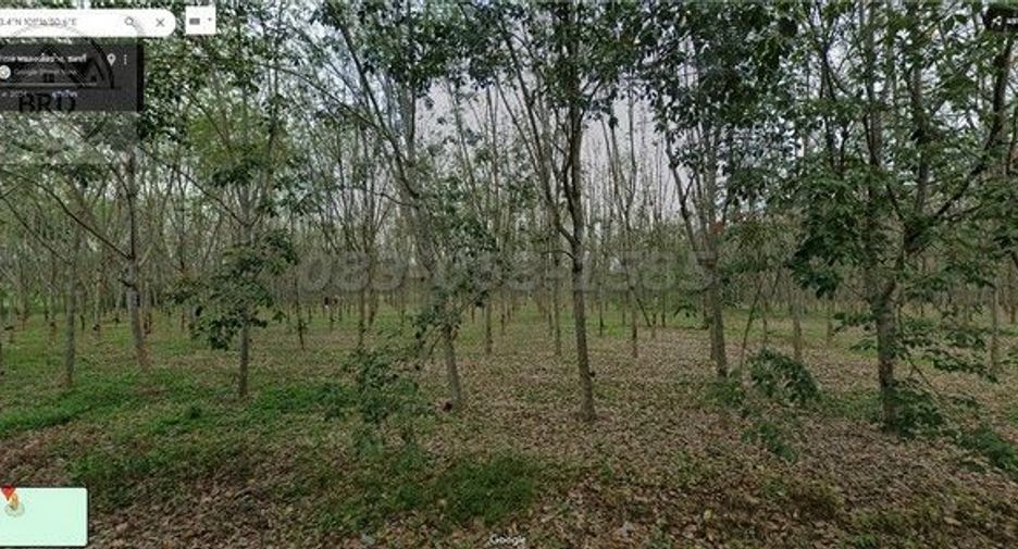 For sale land in Nong Yai, Chonburi