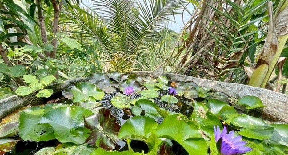 For sale 3 bed house in Ko Chan, Chonburi