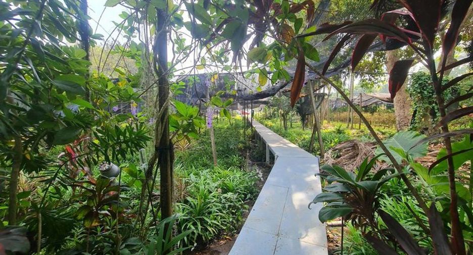 ขาย ที่ดิน ใน สัตหีบ, ชลบุรี