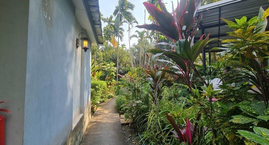 ขาย ที่ดิน ใน สัตหีบ, ชลบุรี