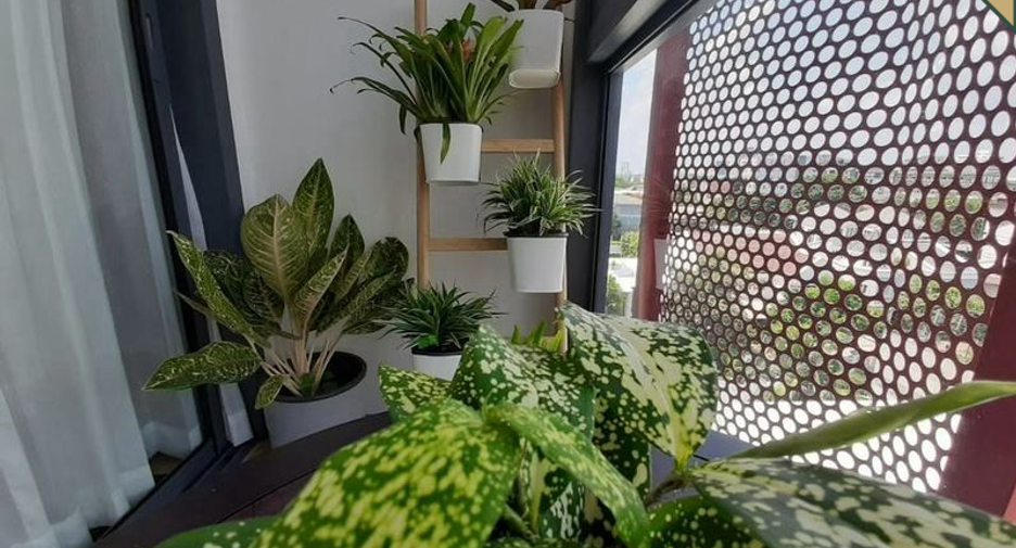 For rent そして for sale 1 Beds condo in Watthana, Bangkok