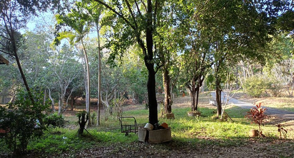 For rent 2 bedrooms house in Mae Rim, Chiang Mai