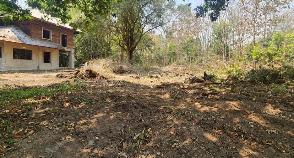 For sale land in Mae Rim, Chiang Mai