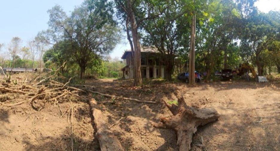 For sale land in Mae Rim, Chiang Mai