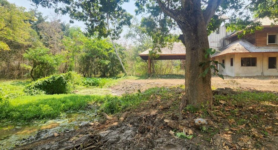 For sale land in Mae Rim, Chiang Mai