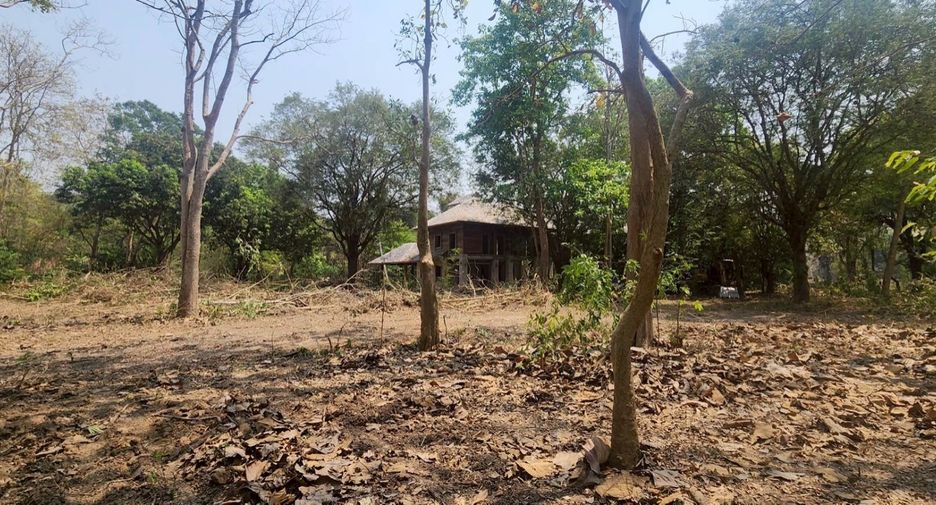For sale land in Mae Rim, Chiang Mai