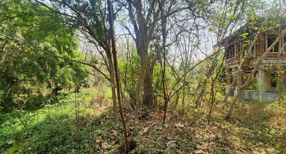 For sale land in Mae Rim, Chiang Mai