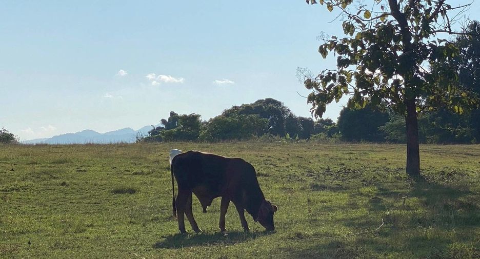 For sale land in Mae Taeng, Chiang Mai
