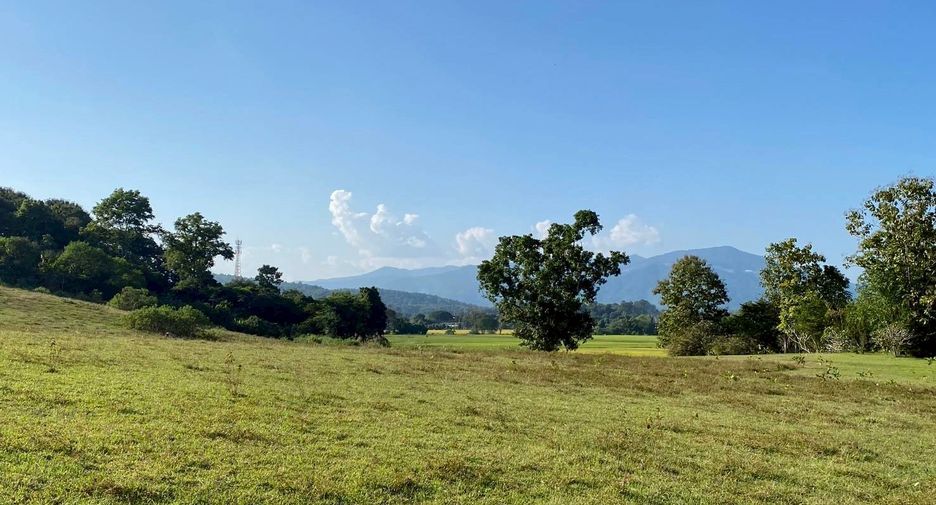 For sale land in Mae Taeng, Chiang Mai