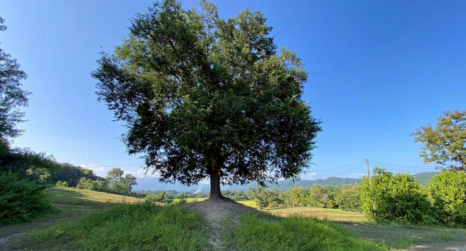 For sale land in Mae Taeng, Chiang Mai