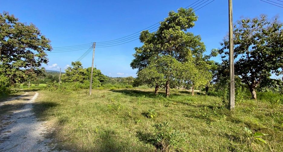 For sale land in Mae Taeng, Chiang Mai