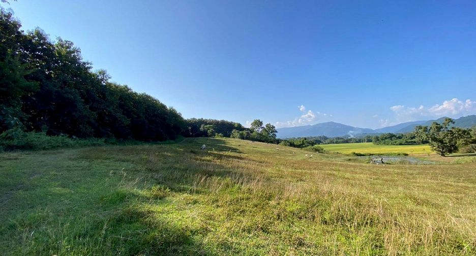 For sale land in Mae Taeng, Chiang Mai