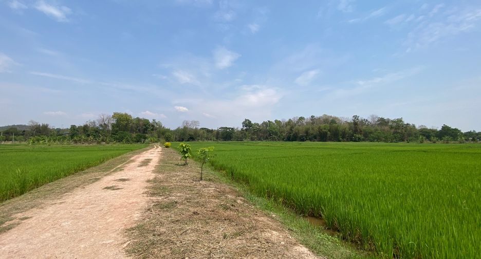 For sale land in Mae Rim, Chiang Mai