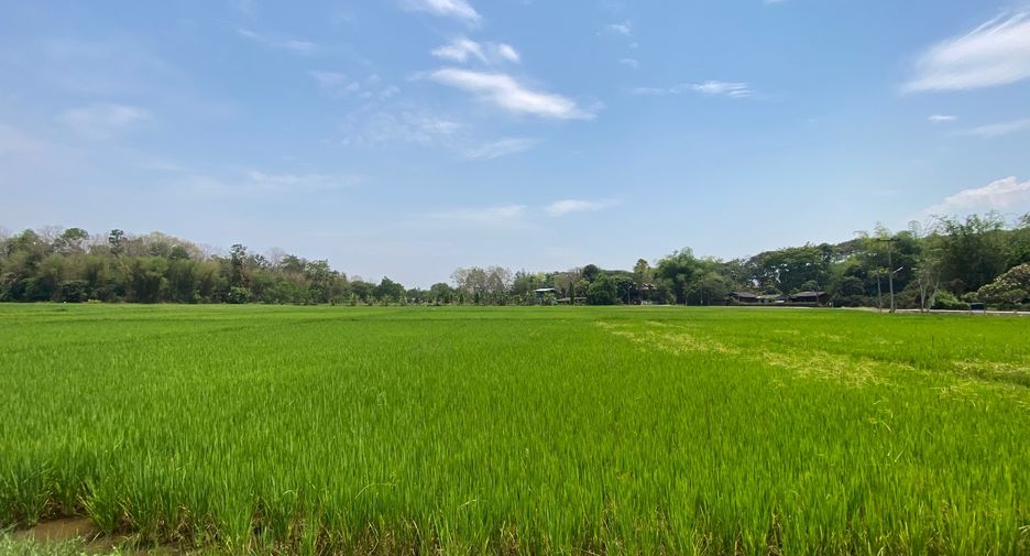 For sale land in Mae Rim, Chiang Mai