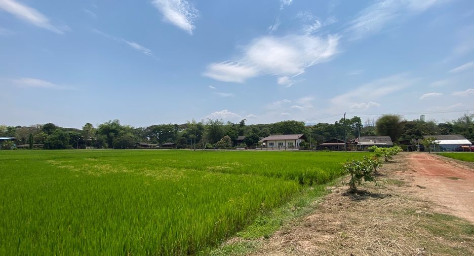 For sale land in Mae Rim, Chiang Mai