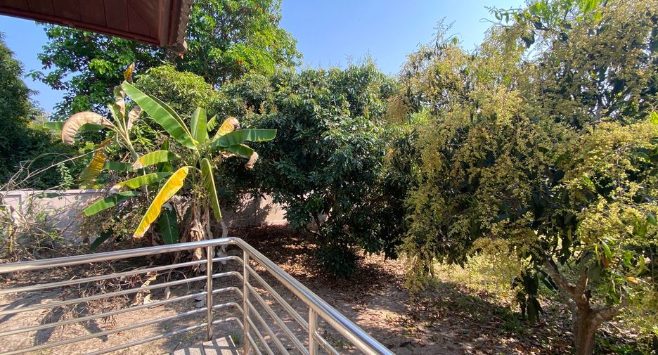 For rent 4 bedrooms house in San Sai, Chiang Mai