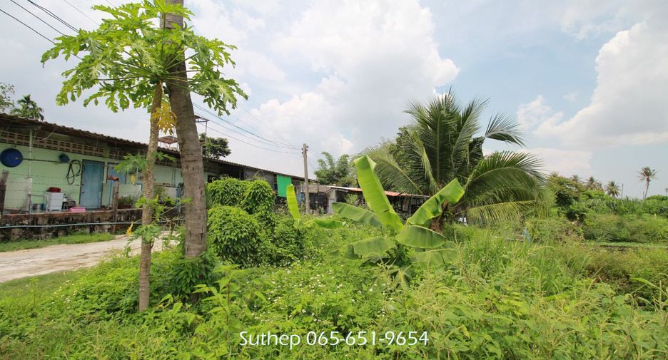Grundstück zum Kauf in Ban Chang, Rayong