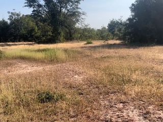 For sale land in Bua Yai, Nakhon Ratchasima