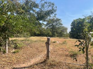 For sale land in Bua Yai, Nakhon Ratchasima