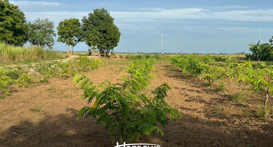 For sale land in Mueang Lop Buri, Lopburi