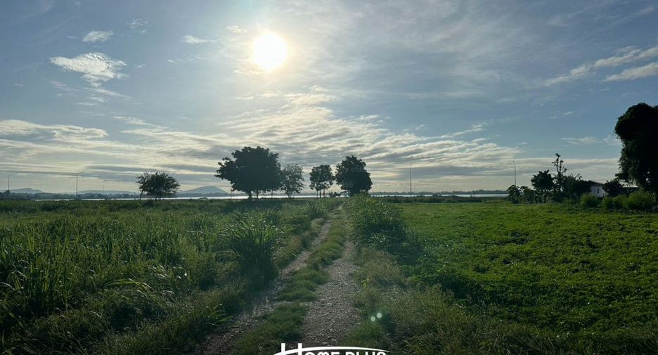 For sale land in Mueang Lop Buri, Lopburi