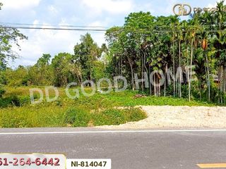 For sale land in Mueang Yala, Yala