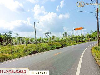 For sale land in Mueang Yala, Yala