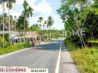 For sale land in Mueang Yala, Yala