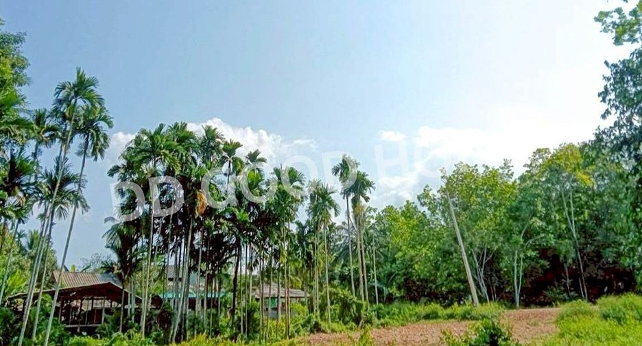 For sale land in Mueang Yala, Yala