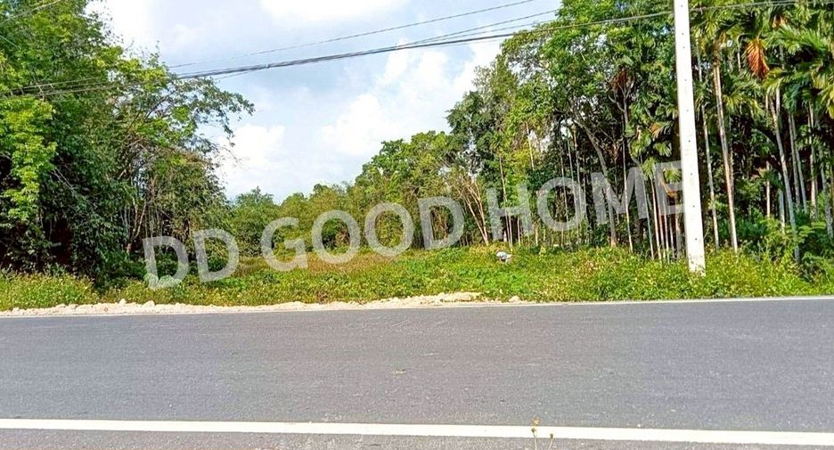 For sale land in Mueang Yala, Yala