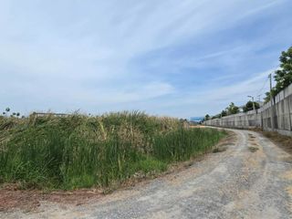For sale land in Mueang Nakhon Pathom, Nakhon Pathom