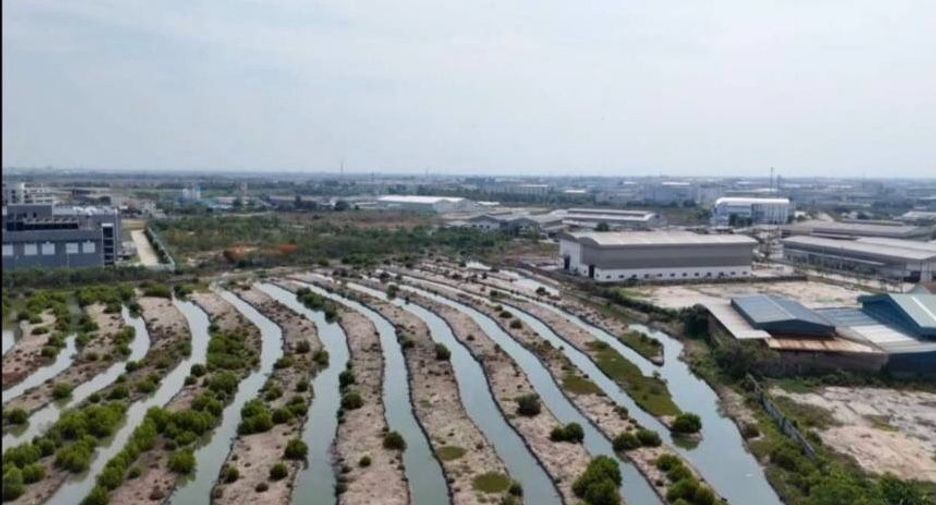 Terreno en alquiler en Mueang Chon Buri, Chonburi