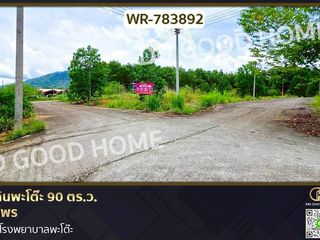 For sale land in Phato, Chumphon