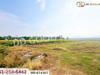 出售 土地 在 Mueang Phetchabun, Phetchabun