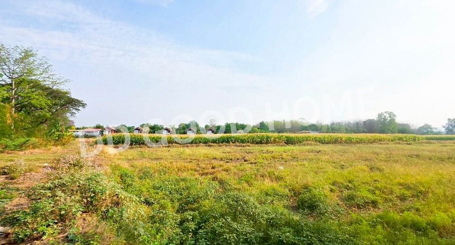 For sale land in Mueang Phetchabun, Phetchabun