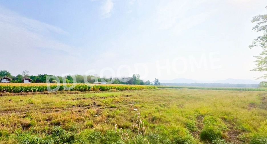 For sale land in Mueang Phetchabun, Phetchabun