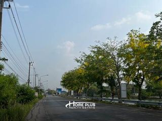 ขาย ที่ดิน ใน หนองเสือ, ปทุมธานี