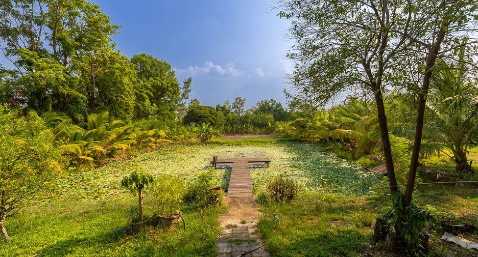 For sale 4 bedrooms house in Det Udom, Ubon Ratchathani